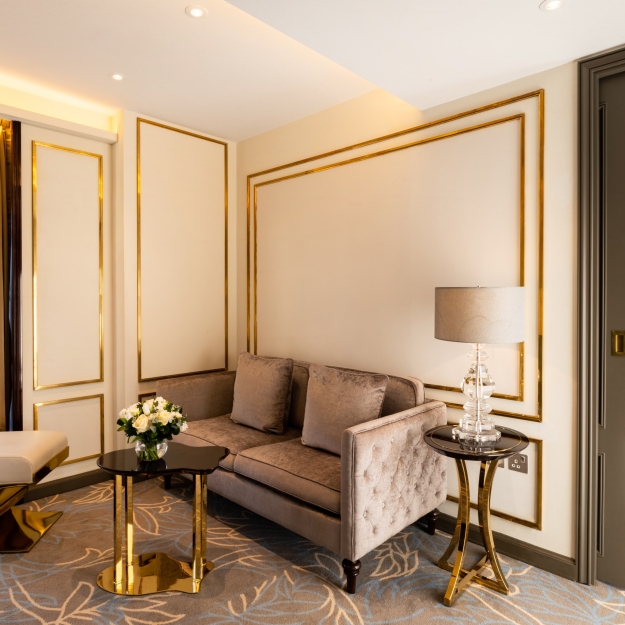 Suite Couch and Living Area